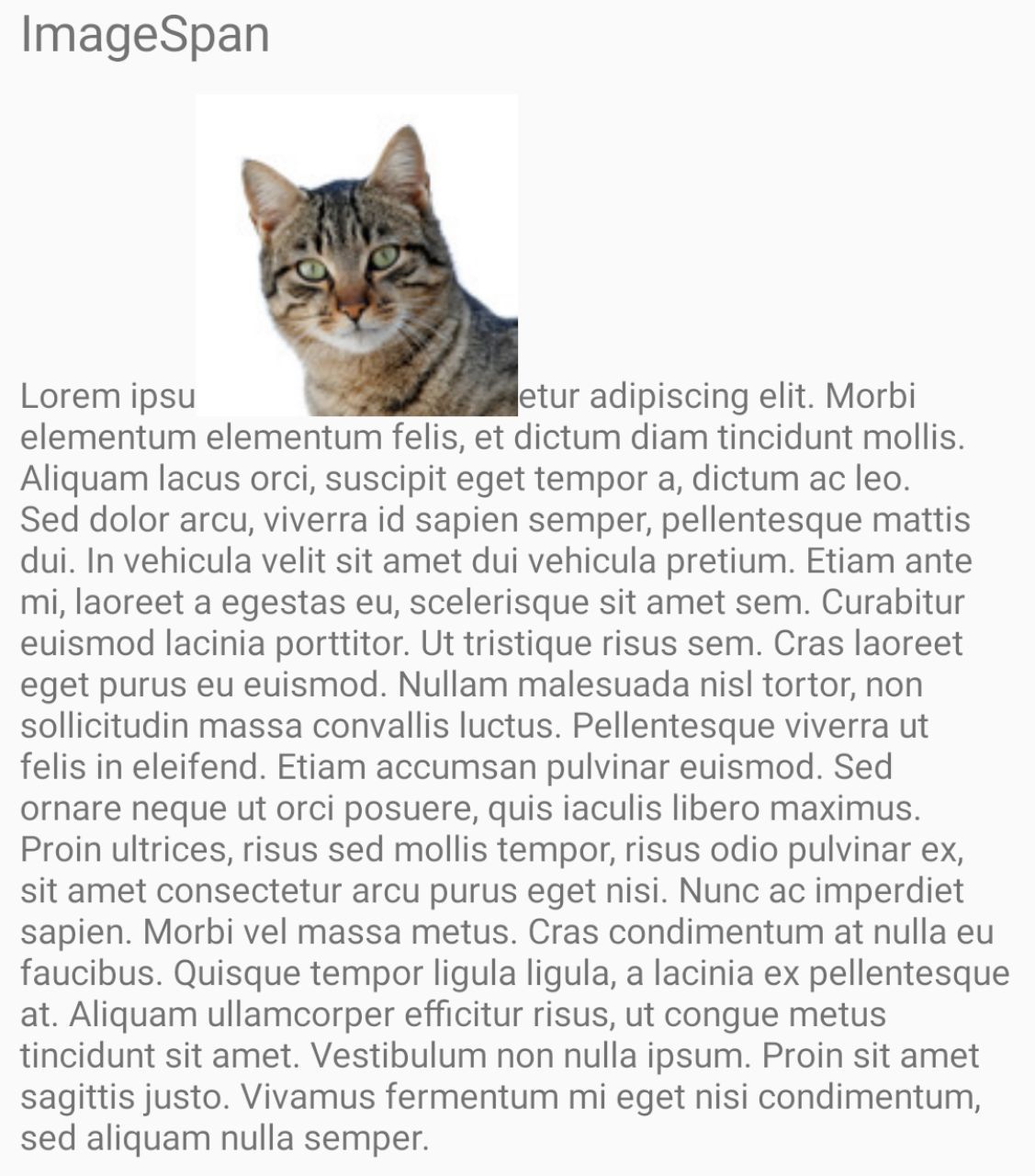 ImageSpan